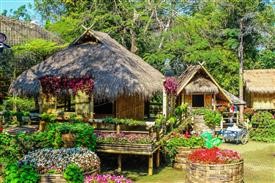 &quot;Flower Delivery Phoenixville